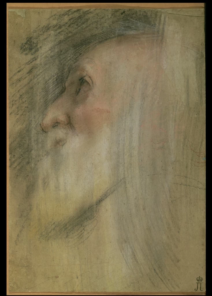Studio di testa di vecchio - State Hermitage Museum, St. Petersburg, Barocci Federico
